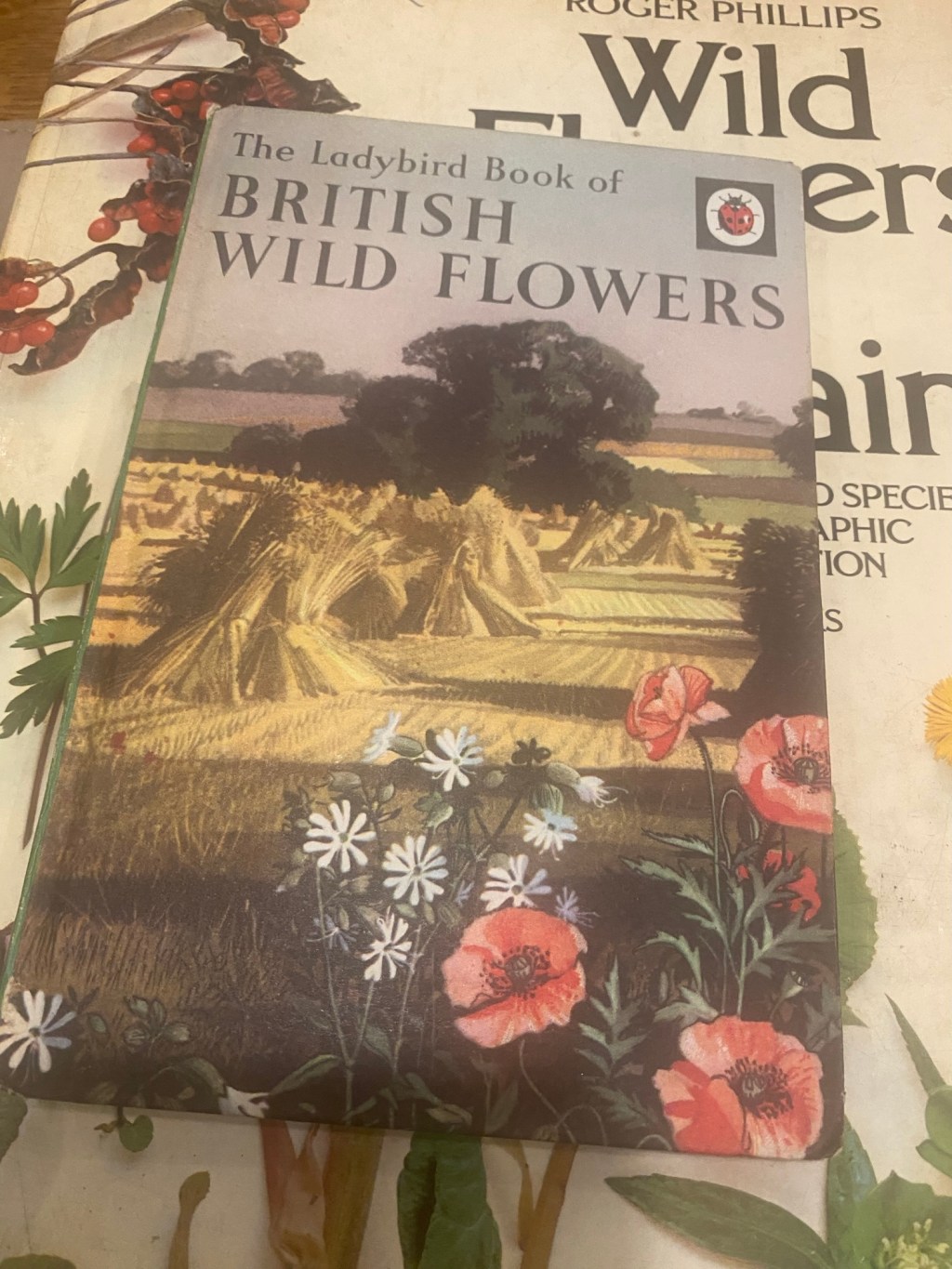 Florbunda & new&nbsp;year